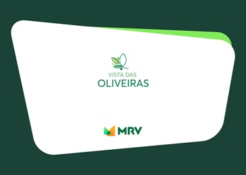 Vista das Oliveiras